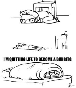 \"Funniest_Memes_i-m-quitting-life-to-become-a-burrito_13756\"